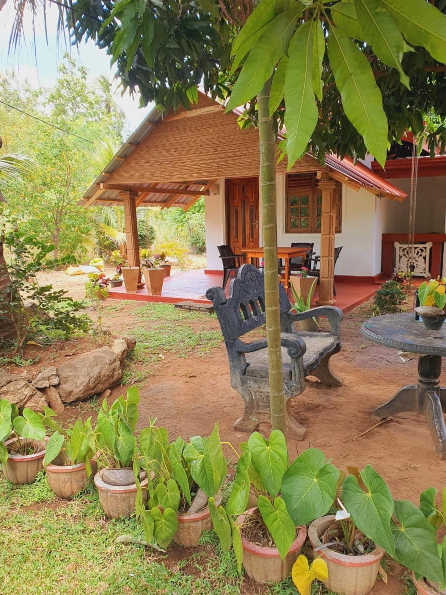 Jungle Eco Lodge & Safari Sigiriya Exteriör bild