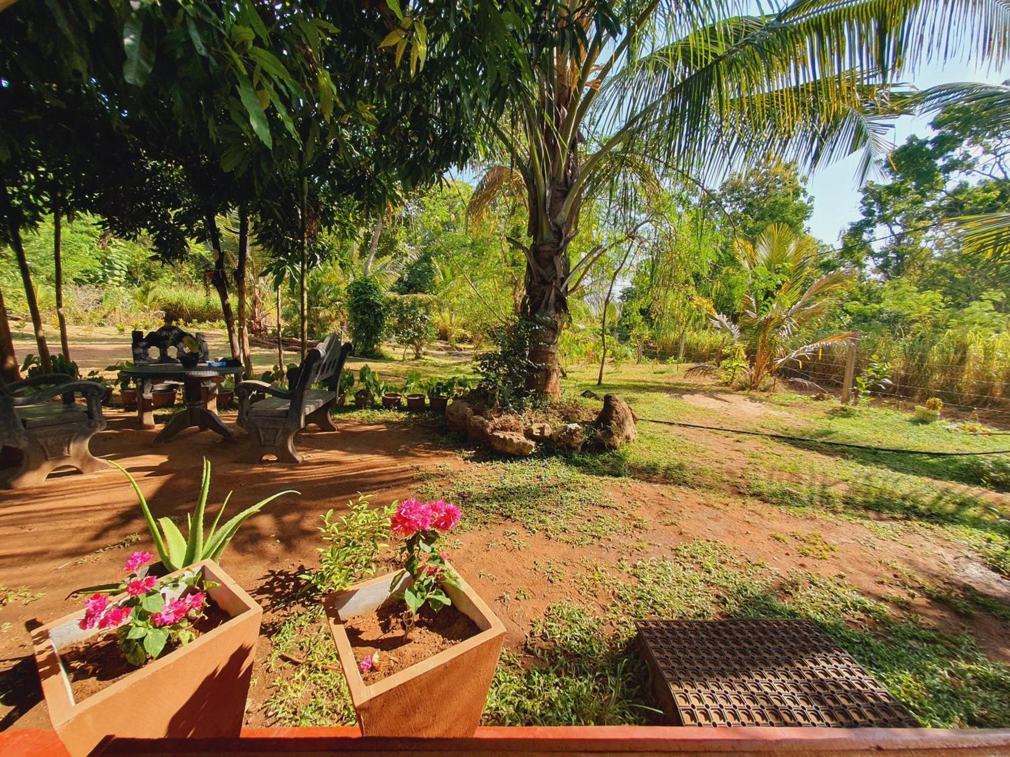 Jungle Eco Lodge & Safari Sigiriya Exteriör bild