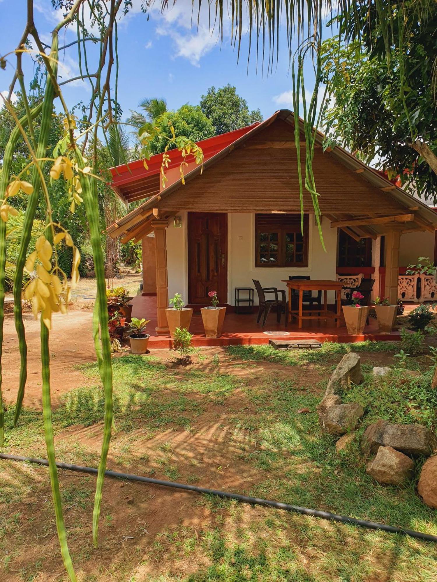 Jungle Eco Lodge & Safari Sigiriya Exteriör bild