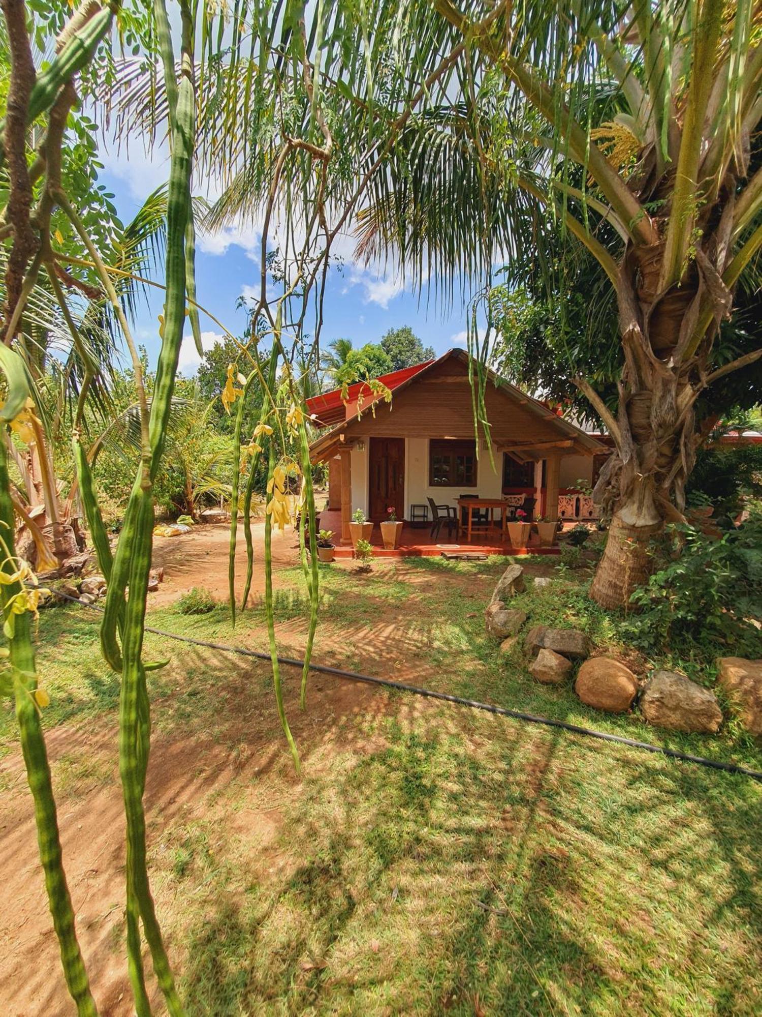 Jungle Eco Lodge & Safari Sigiriya Exteriör bild