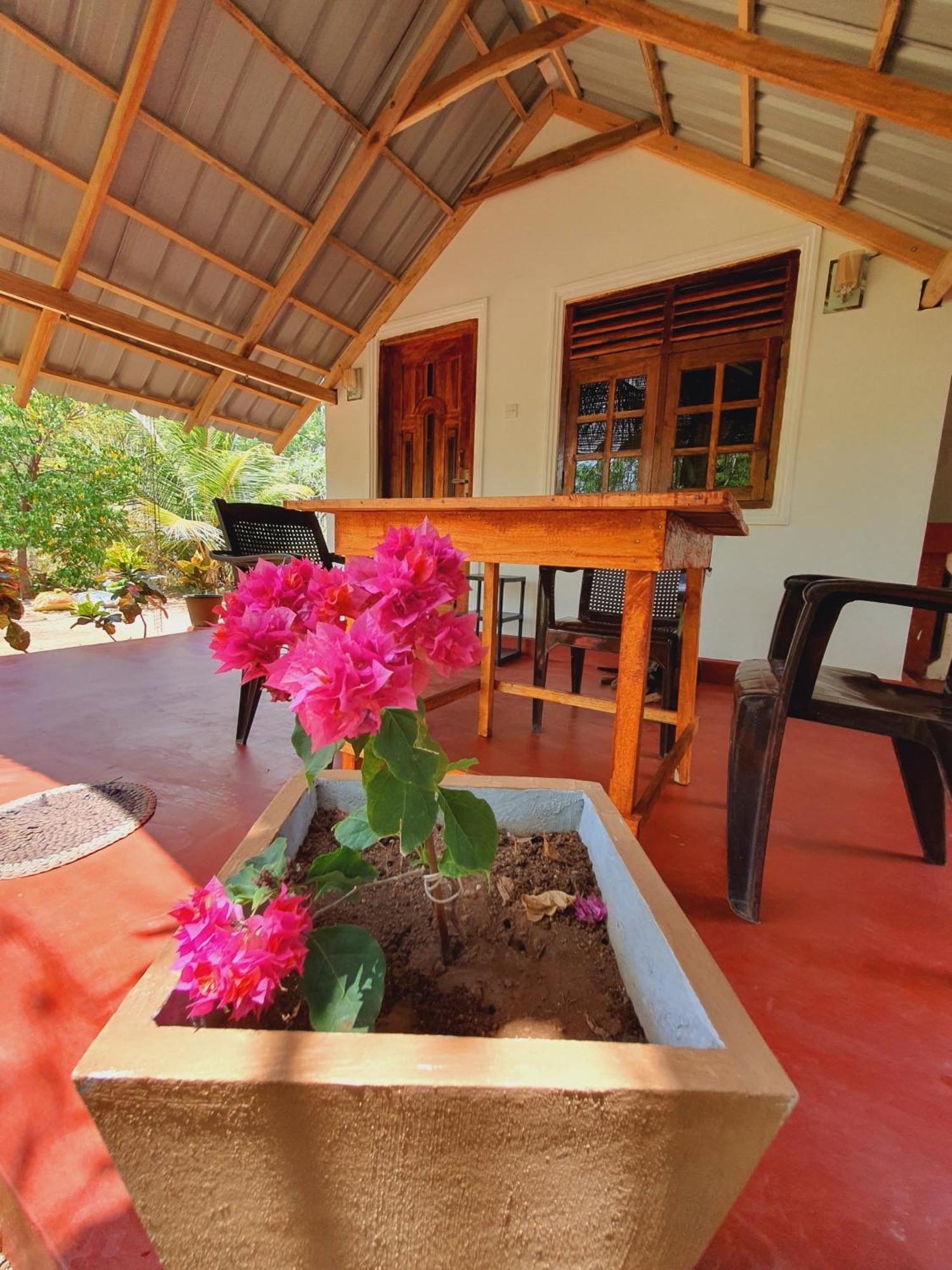 Jungle Eco Lodge & Safari Sigiriya Exteriör bild