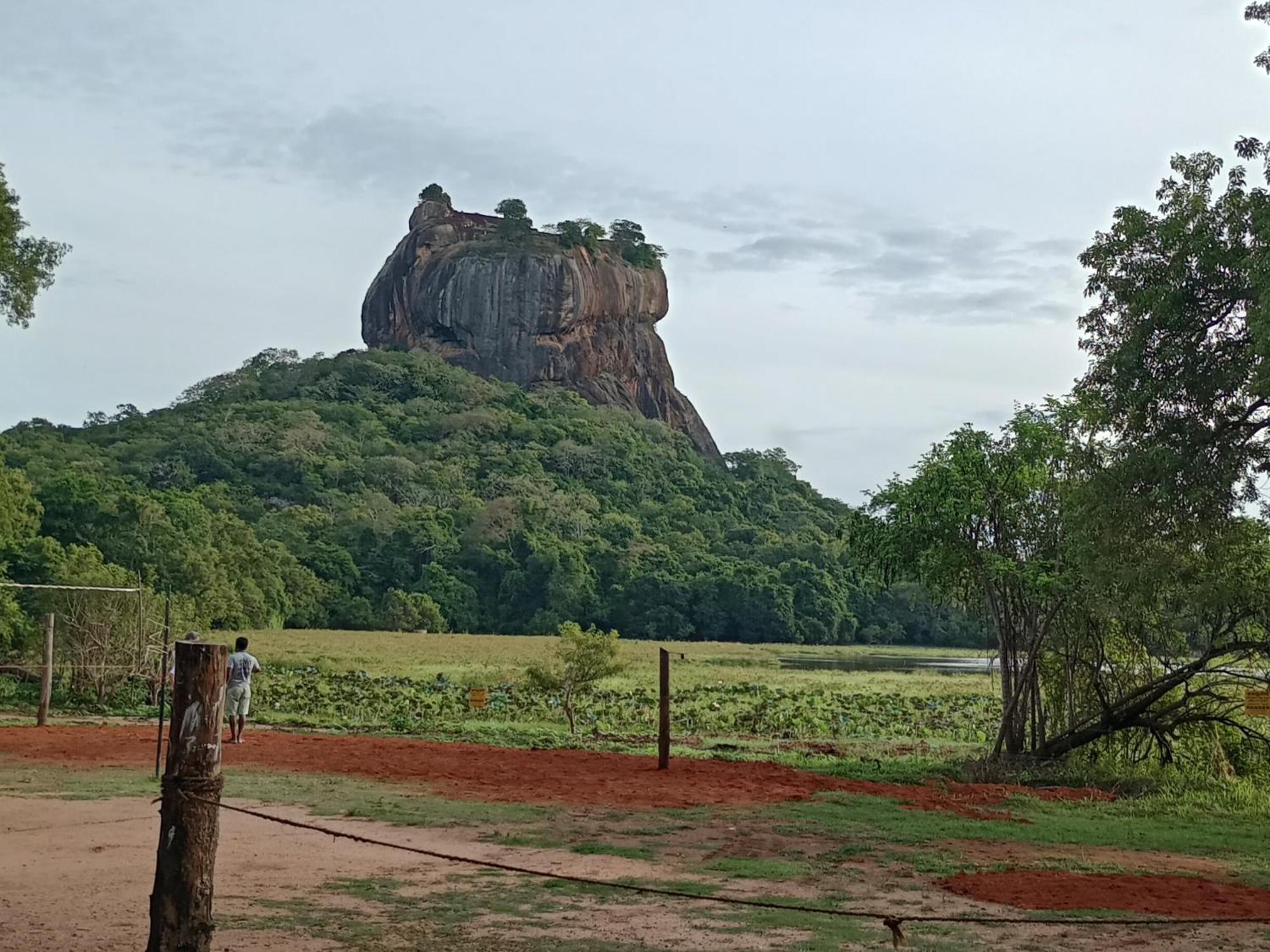 Jungle Eco Lodge & Safari Sigiriya Exteriör bild
