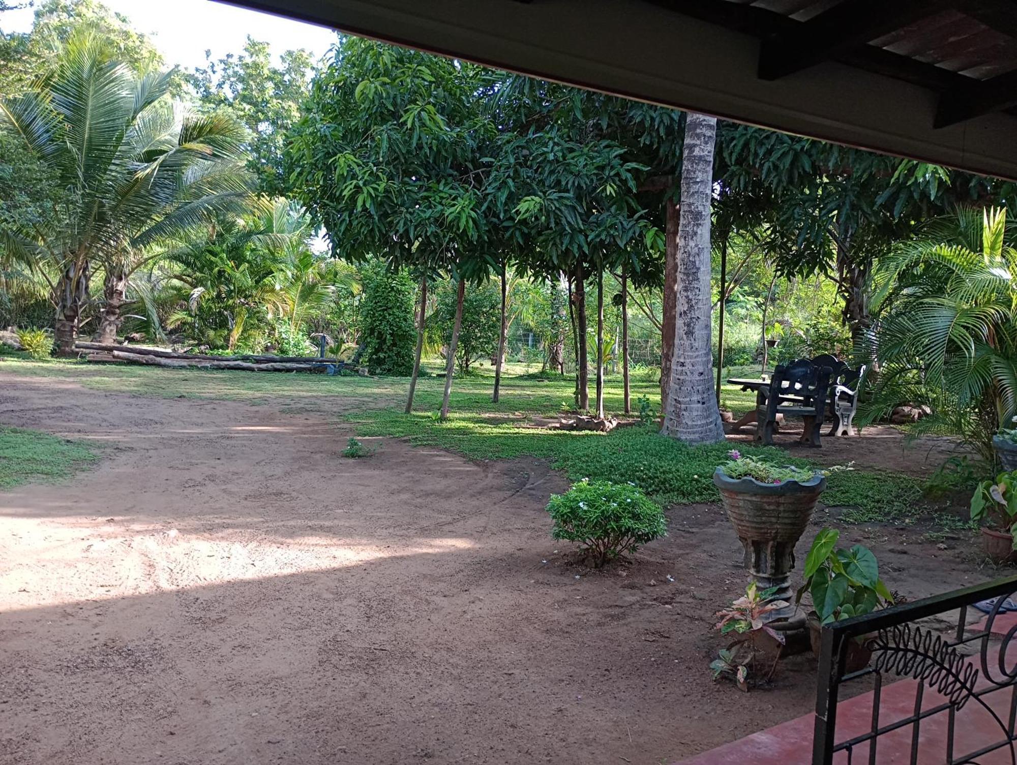 Jungle Eco Lodge & Safari Sigiriya Exteriör bild