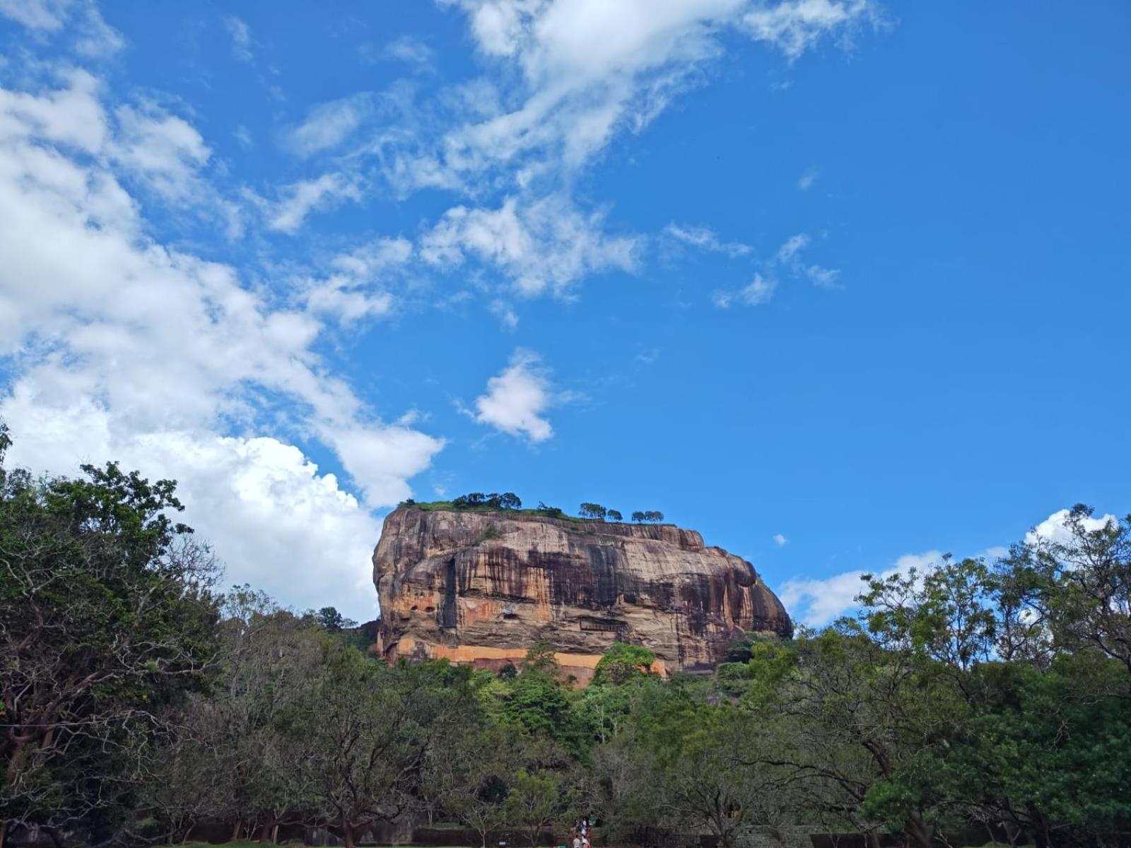 Jungle Eco Lodge & Safari Sigiriya Exteriör bild